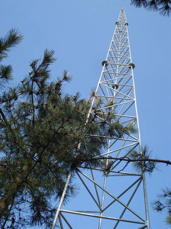 吉林30米避雷塔