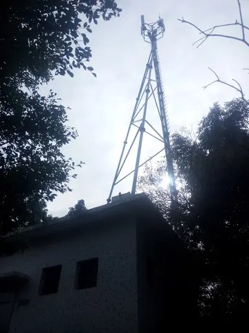 裝扮成樹的信號塔