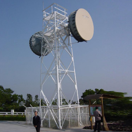 專業(yè)仿生樹通信塔