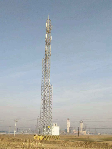 豬豬加強器和藍莓信號