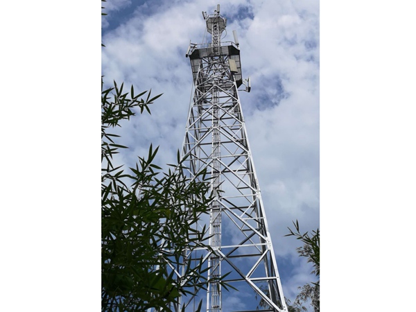 北京仿生樹通信塔公司