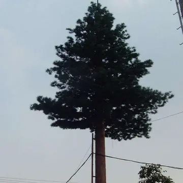 重慶通訊單管塔