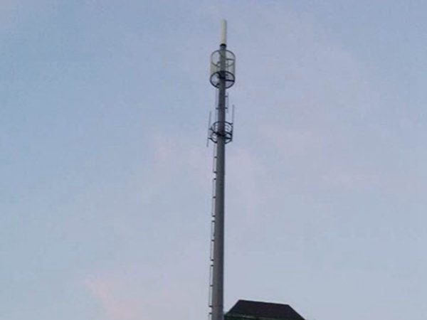 重慶仿生樹通信塔