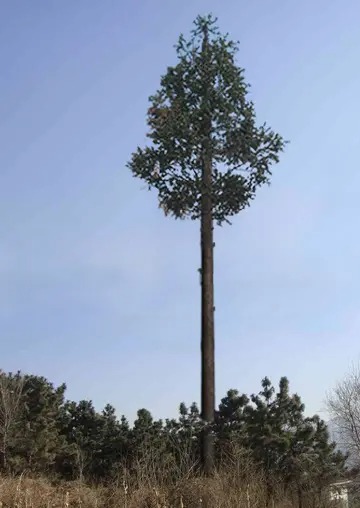 中國移動信號塔設備