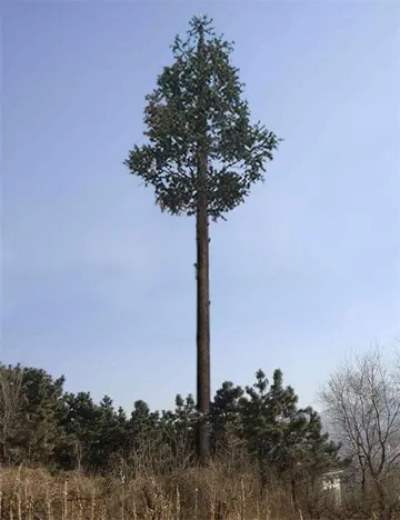 中國移動通信塔爾堡營