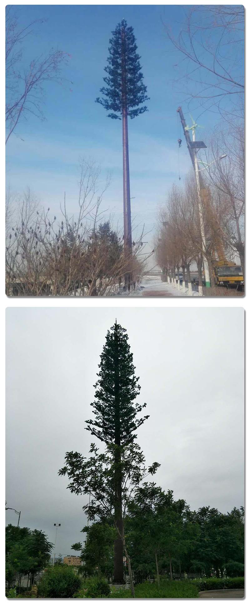 中國通信塔特點