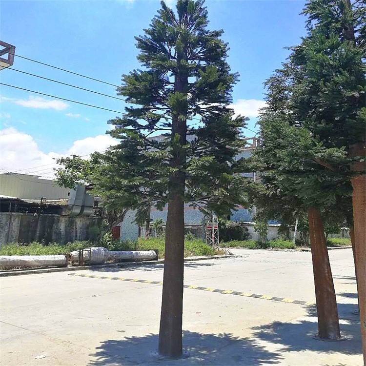 中國通信塔工交流群