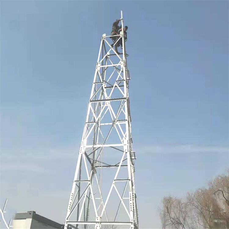 5米草原監控塔價格